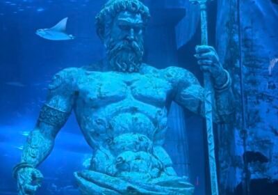 عالم تشنغجيا القطبي للأحياء البحرية — Guangzhou Grandview Polar Ocean World