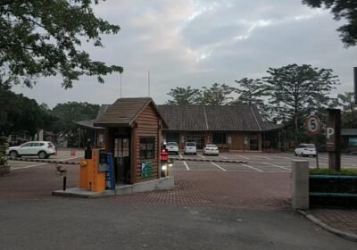 حديقة الأراضي الرطبة المركزية في منطقة الخليج الكبرى — Greater Bay Area Central Wetland Park
