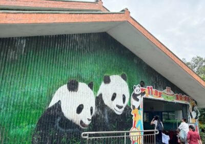 حديقة حيوان قوانجوا — Guangzhou Zoo