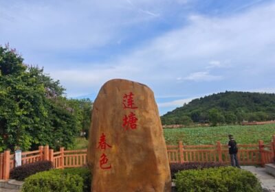 منطقة ليانتانغ تشونسه السياحية الترفيهية — Liantang Chunse Leisure Tourism Area